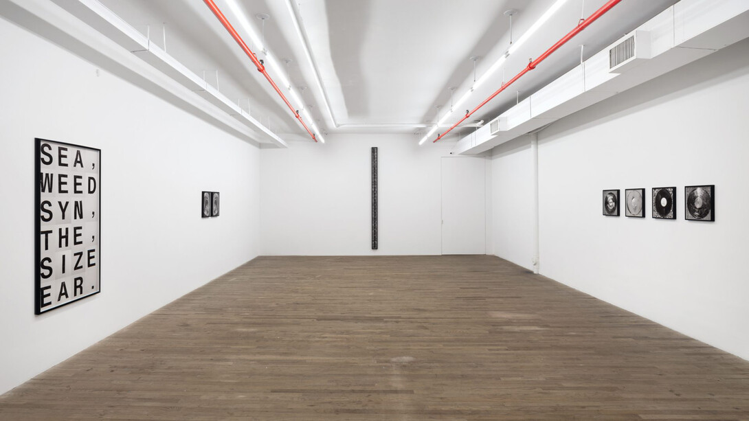 Shannon Ebner, The seaweed synthesizer, exhibition view. Courtesy of kaufmann repetto