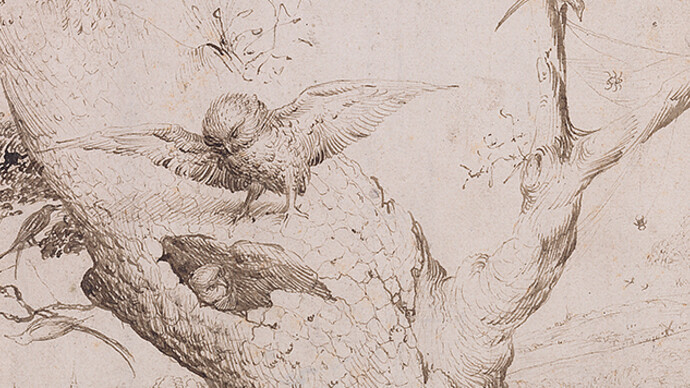 Hieronymus Bosch, The Owl’s Nest, c. 1505–1515, pen and brown ink, Museum Boijmans Van Beuningen, Rotterdam (former Koenigs Collection)