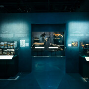 Witches. Out of the shadows, exhibition view. Courtesy of Pointe-à-Callière