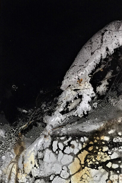 To Be Free 23.5 x 18.5 inches Paul Tamanian