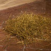 Aghi, 2018, brass | ottone, variable dimensions | dimensioni variabili. Courtesy Galleria Continua, San Gimignano / Beijing / Les Moulins / Habana. Photo Ela Bialkowska, OKNO studio
