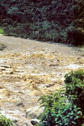 Rápidos del Río Urubamba en la región de Cusco, Perú