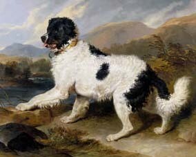 Lion - A Newfoundland Dog, Sir Edwin Landseer, 1824, England. Museum no. 852-1894. © Victoria and Albert Museum, London