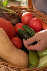 A man is growing plants in his hands, symbolizing the nurturing and care involved in sustainable agriculture and plant cultivation
