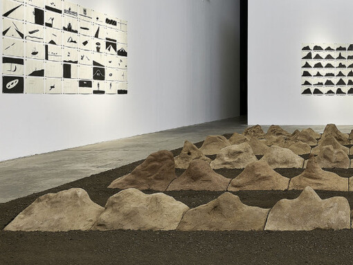 Temporal. Courtesy of MUAC