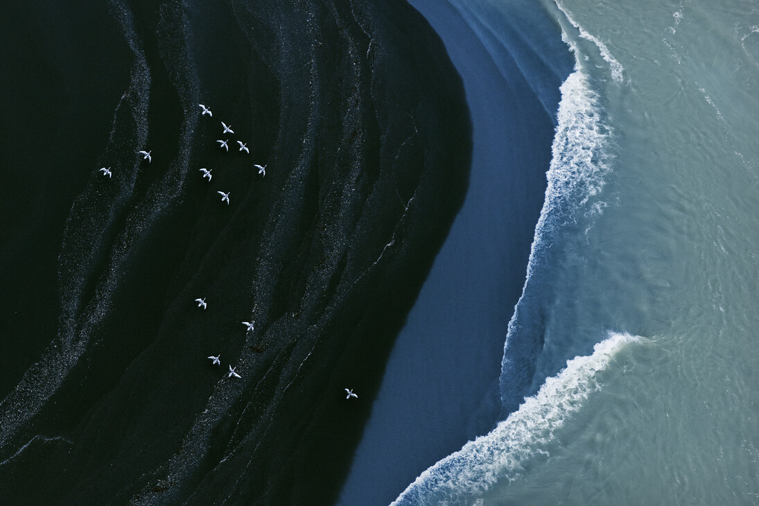 In flight, 2015 Archival Pigment Print