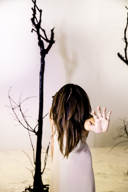 Bonsai Perfect Storm