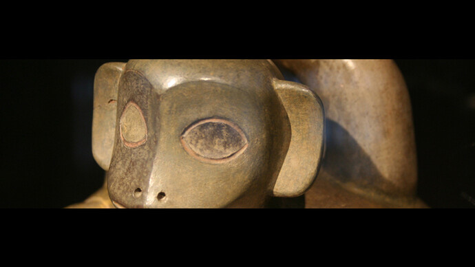 Bright Animals and Dull Plants. Courtesy of Museo Chileno de Arte Precolombino