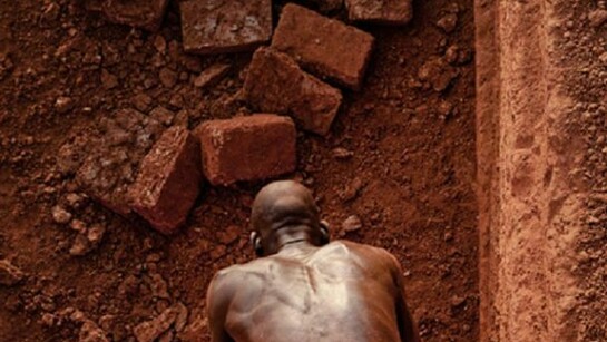 David Pace, Untitled (From the Karaba series) 2010, 24 x 35.25 inches