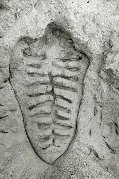 “Itiba Cahubaba”. © The Estate of Ana Mendieta Collection, L.L.C.
Courtesy Galerie Lelong, New York and Paris and Alison Jacques Gallery, London