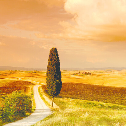 Scenery in Tuscany 