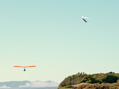 Flight of Fancy. Courtesy of Panopticon Gallery
