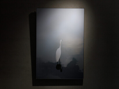 Viriya Chotpanyavisut, Moving in relation, exhibition view. Courtesy of Gallery Ver