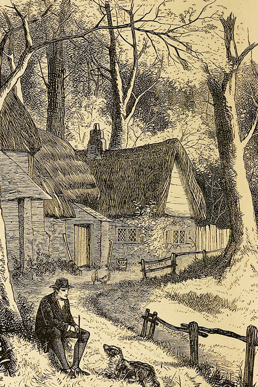 Through his verse, William Cowper provides a poignant commentary on human nature and the Christian experience in the context of his time