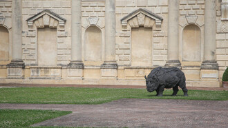 Un sogno fatto a Mantova - Palazzo Te, Opera di Rivalta