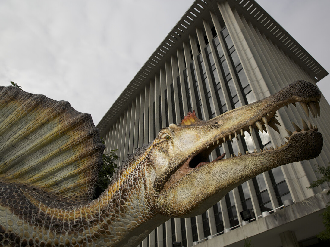 Una teca che ricorda ai visitatori le ricche e varie collezioni naturalistiche del Museo di Storia Naturale di Milano © Foto di Cristiano Dal Sasso