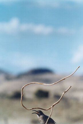 The Photographic. Courtesy of S.M.A.K