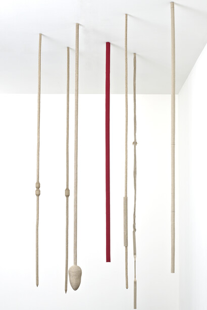 Tonico Lemos Auad, Seven Seahorses, 2013