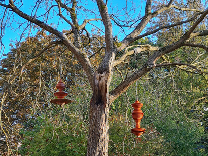 Sergey Katran, Until the Word is Gone. Installation at Wolfson College, Oxford, 2021