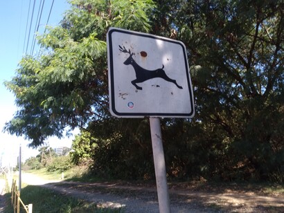 Placa adverte para a presença de animais com chifres na ciclovia do Rio Pinheiros em São Paulo, Brasil. Próximo ao estranho Castelo Cidade Jardim percebo uma placa indicando que há alces (ou outro animal com chifres) nas margens do rio. Até hoje não encontrei. Imagino se talvez as dóceis capivaras os tenham expulsados, se a placa seja fruto de uma piada ou se apenas ignoro o que significa