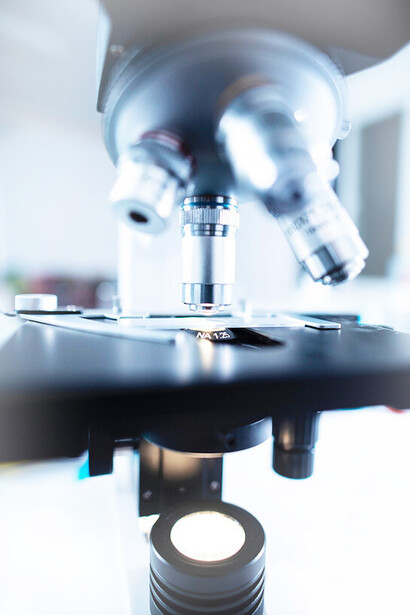 Vue au microscope : la théorie cellulaire ne sera ébauchée qu’à partir des années 1830