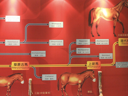People And Environment, Biodiversity. Courtesy of National Taiwan Science Education Center