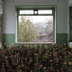 Gohar Dashti. Courtesy of Robert Klein Gallery