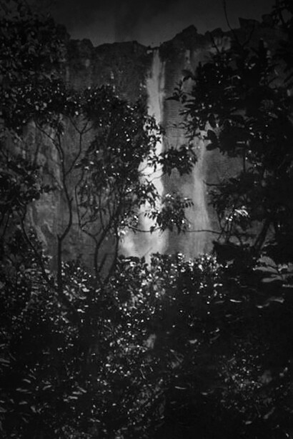 El Salto Ángel a la distancia, visto desde el bosque. Foto Ruth Robertson. Colección Biblioteca Nacional de Venezuela