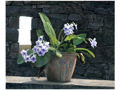Timothy Barr, Dreaming of Madagascar, 2022, oil on panel, 16x19.75 inches. Courtesy the artist and LewAllen Galleries