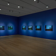 David Hockney, The moon room, exhibition view. Courtesy of Pace Gallery