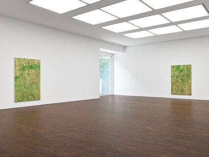 Rudolf Stingel, Vineyard paintings, exhibition view. Courtesy of Gagosian Gallery