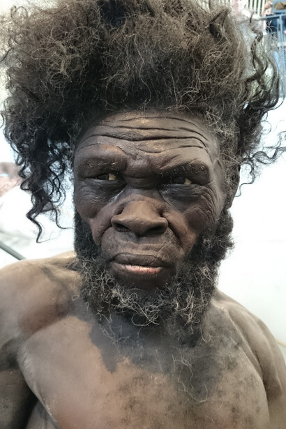 Reconstruction of a modern man found in Morocco 160.000 years ago
