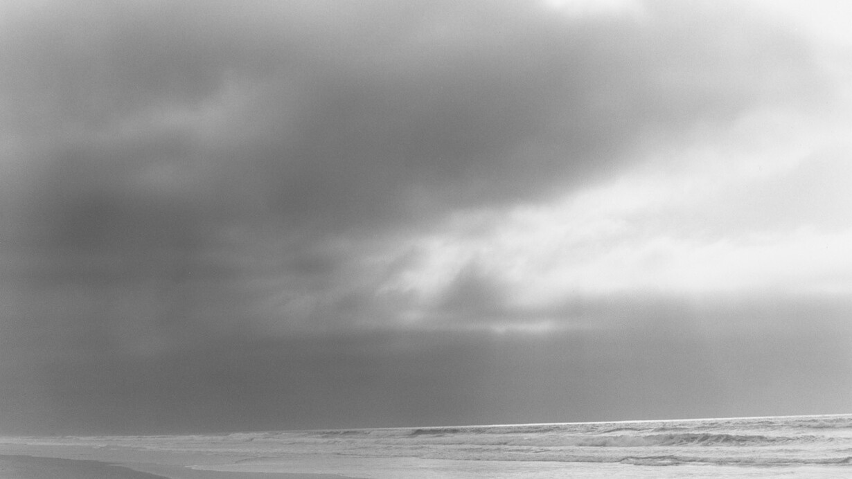 Robert Adams, Nehalem Spit, Oregon, 2013. © Robert Adams, courtesy Fraenkel Gallery, San Francisco