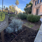 Paseos verdes. Los jardines y el cambio climático, vista de exhibición. Cortesía de Casa de la Ciencia