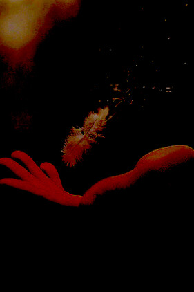 Adaptarse, sobrevivir