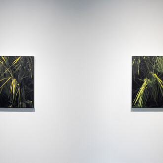 Installation Shot, Ann Stautberg, Interlude, 2023. Courtesy of Barry Whistler Gallery. Photo by Allison V. Smith