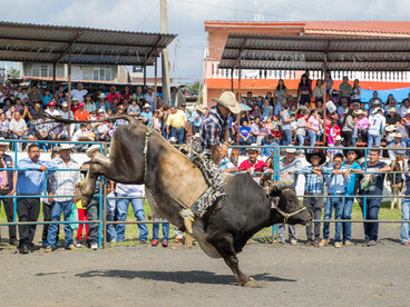 A man wearing a plaid shirt competes in bull riding at a Mexican rodeo