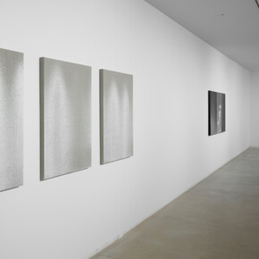 Amie Siegel. Courtesy of Blaffer Art Museum