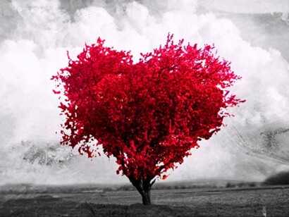 Árbol con forma de corazón