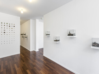 Coquelicots, Exhibition view. Courtesy of MFC - Michèle Didier