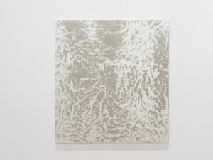 Vicky Colombet, Memory of the surface, exhibition view. Courtesy of James Cohan Gallery
