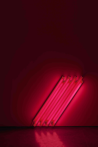Dan Flavin