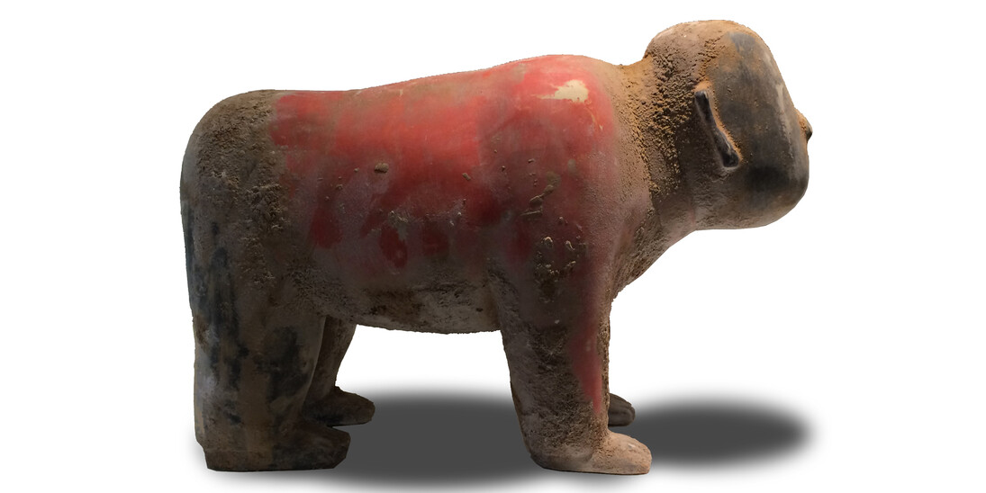 Virtual Focus. Courtesy of Kristin Hjellegjerde