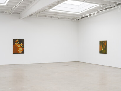Randy Wray, Hothouse, exhibition view. Courtesy of Karma Gallery