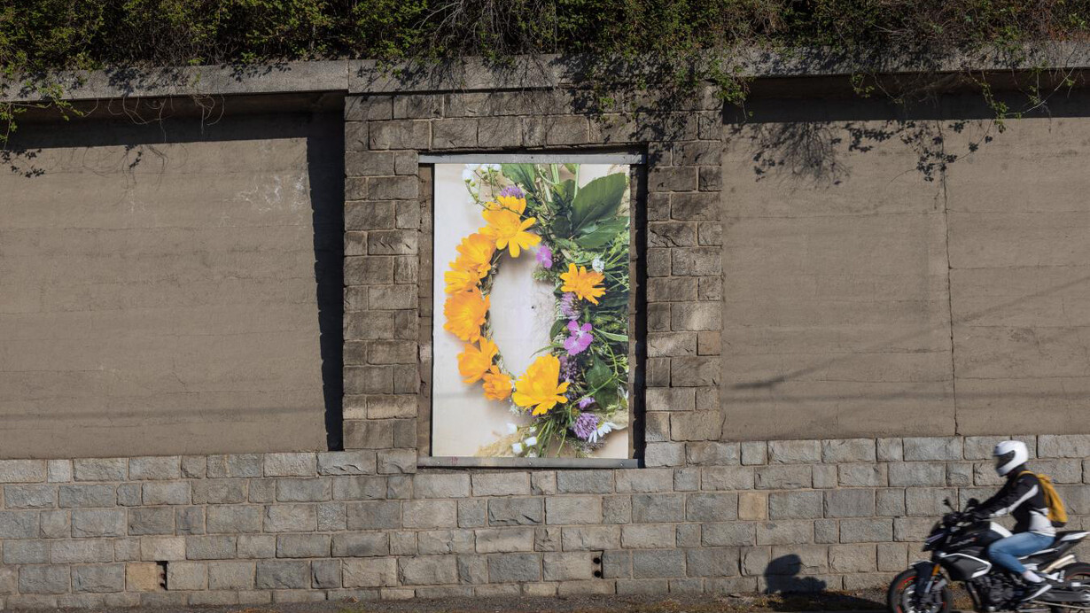 Petra Janda, Caesereans, exhibition view. Courtesy of Artwall Gallery