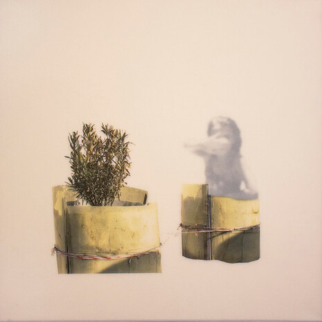 Waiting for Venus. Courtesy of Officina 15