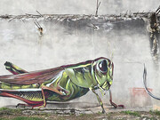 Saltamontes y anzuelo, Akid One, 2017