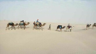 Una carovana nel deserto