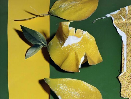 Daniel Gordon, Lemons, 2013, C-Print, Ed. 3 + 1 AP, 7x9" / 17.8x22.9cm