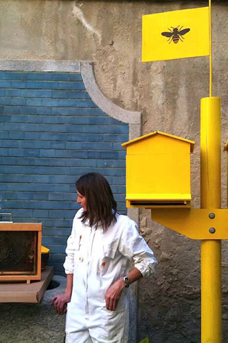Una collaboratrice al lavoro con le arnie